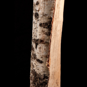15 sacs de bois de bouleau 100% sec de 8 kg – 25cm