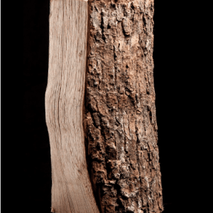 40 Säcke à Trockenholz – 100% Esche – 8 kg
